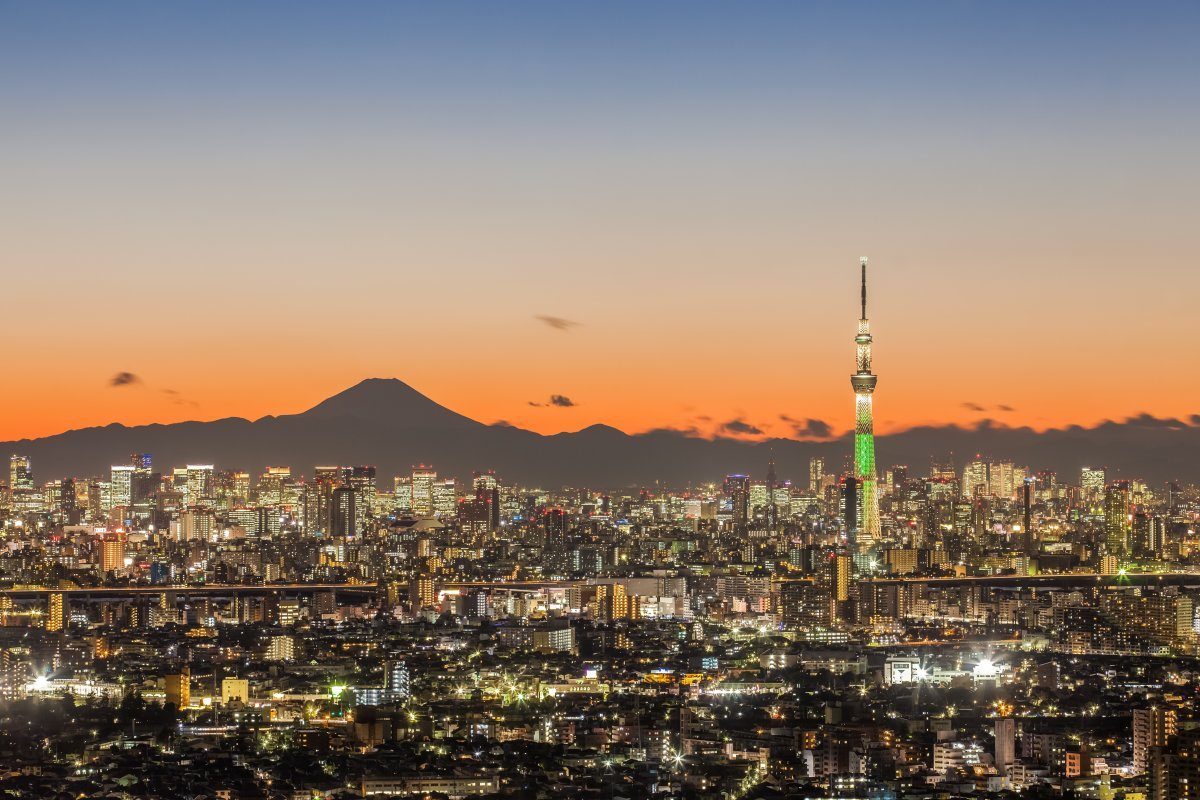 Tokyo City View With Mountain Fuji
