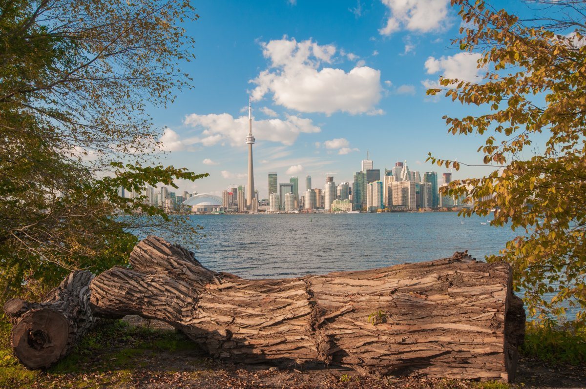 View Of Toronto Skyline From Center Island With Seasonal Autumn Trees