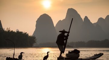 Boat With Cormorants Birds, Yangshuo, China