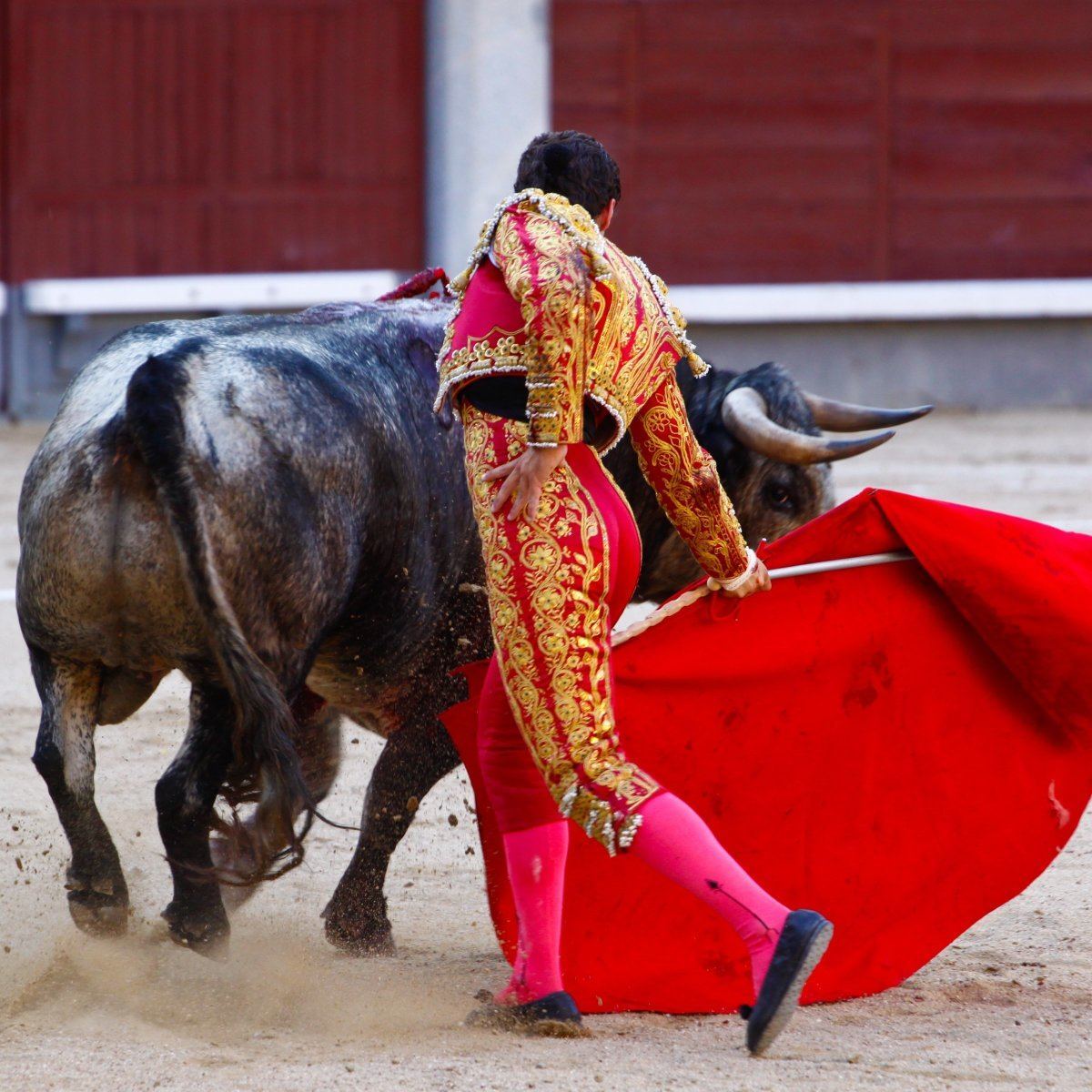 Bullfighting In Spain