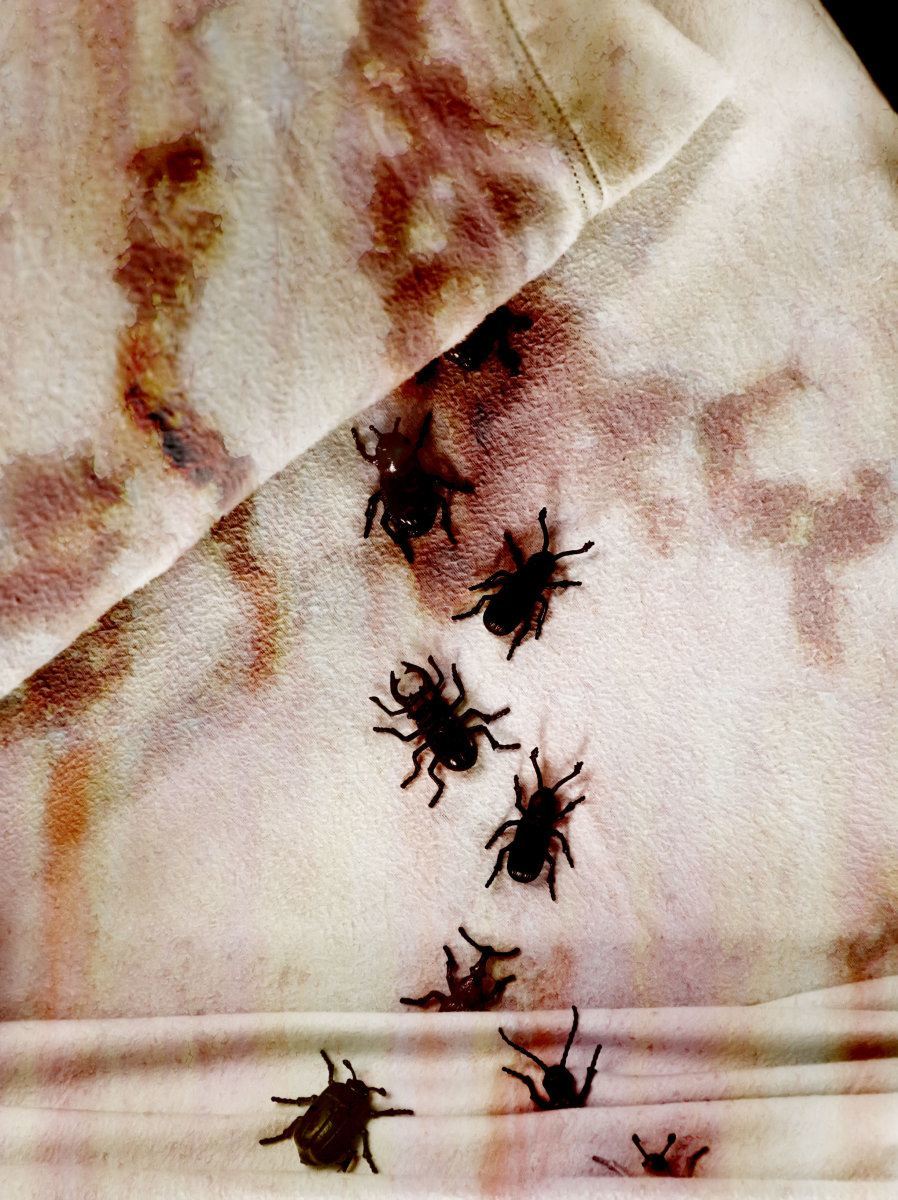 Dirty Bedbugs On Stained Bedding