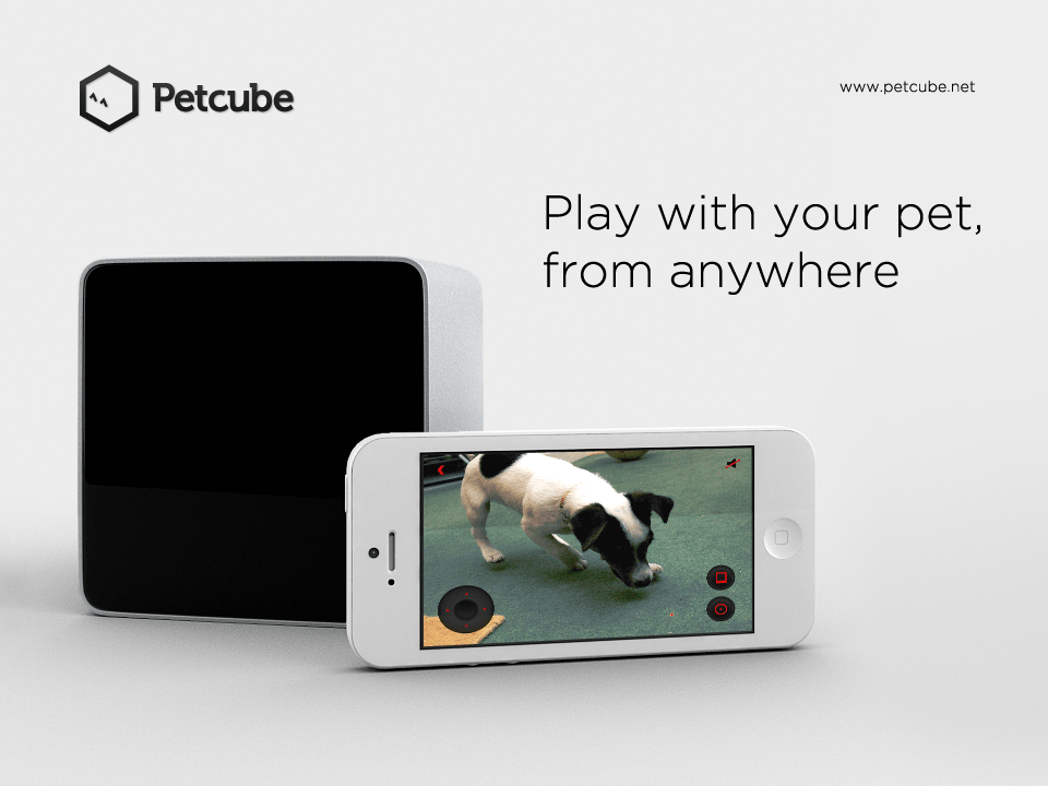 Petcube