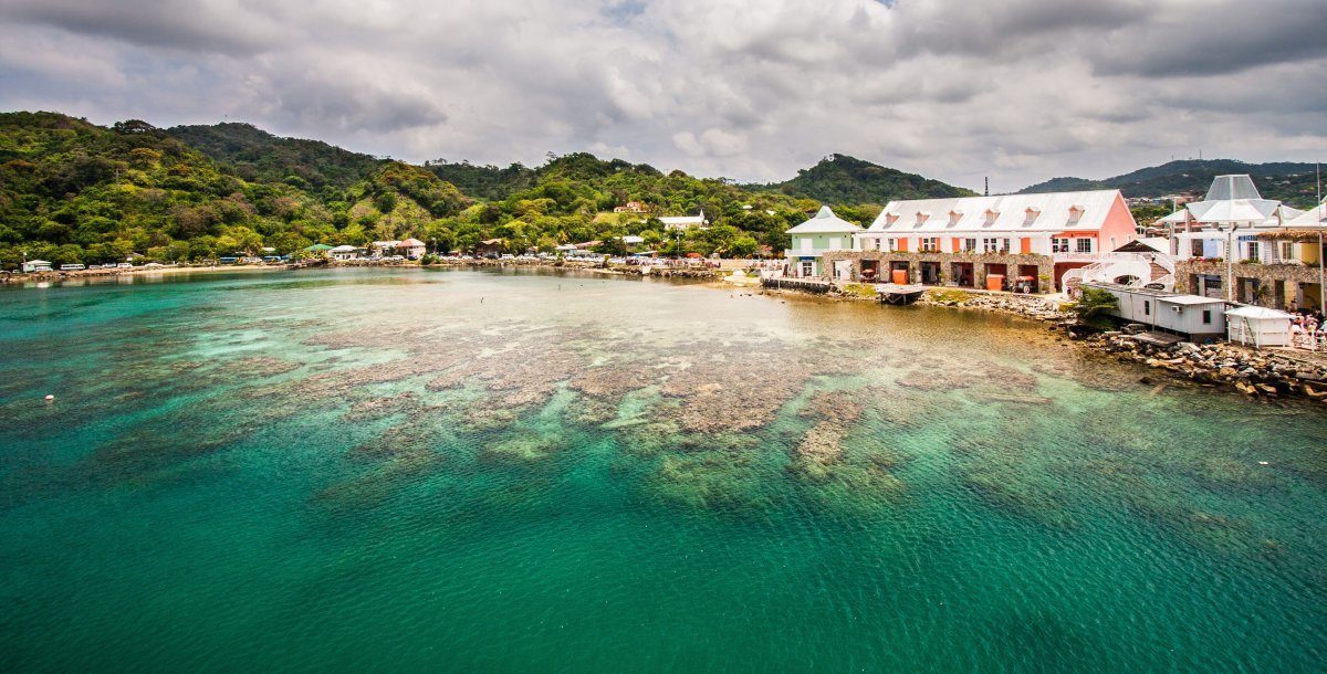 Picture Taken In Roatan, Honduras