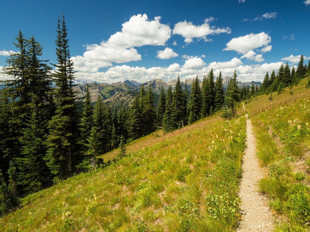 The Pct, Or Pacific Crest Trail As Seen In Northern Washington