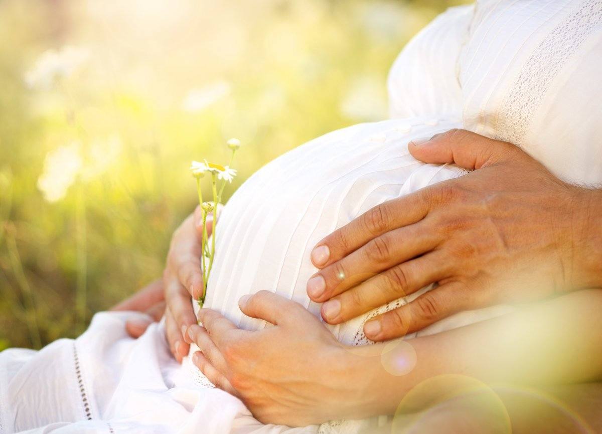 Close Up Of Human Hands Holding Pregnant Belly