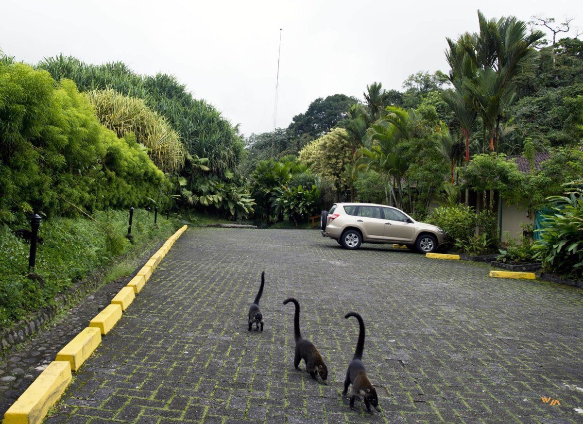 Costa Rica parking lot