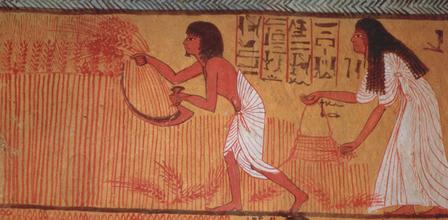Egyptian pregnancy test
