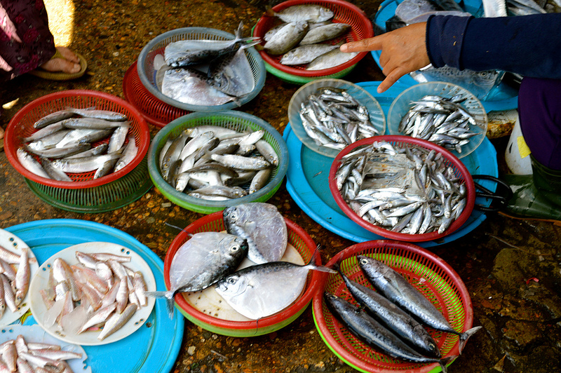 Fish fans will love Vietnam