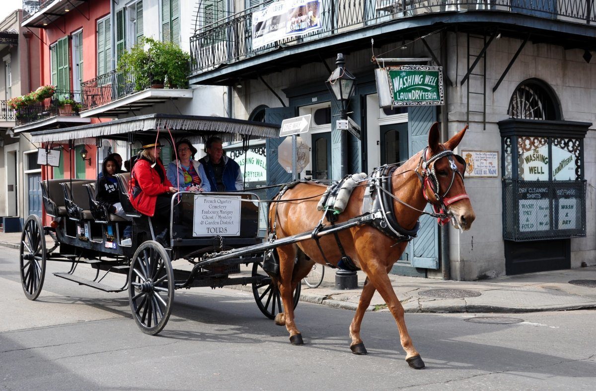Horse Drawn Tour Of The Historic New Orleans French Quarter
