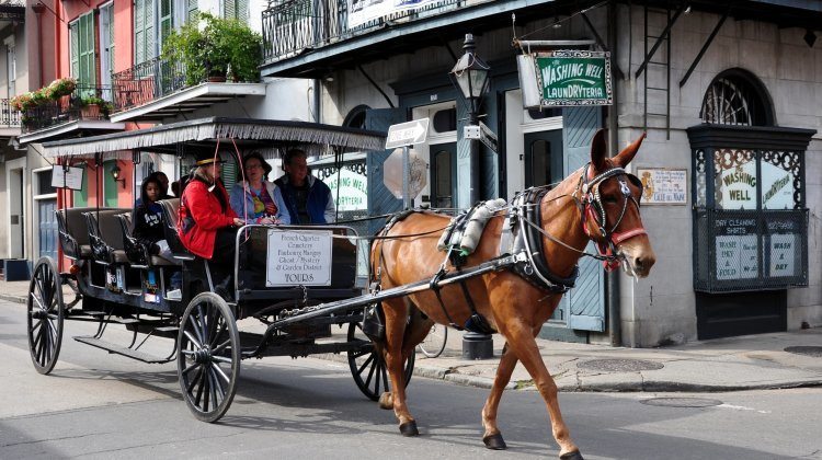 Horse Drawn Tour Of The Historic New Orleans French Quarter