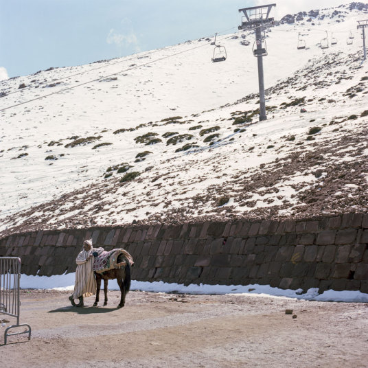 Moroccan donkey at ski hill