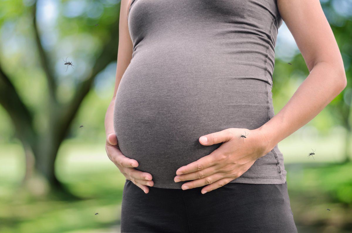 Pregnant Woman With Mosquitoes Bite In Garden