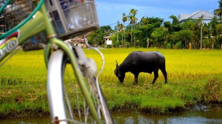 Stilt houses in Laos