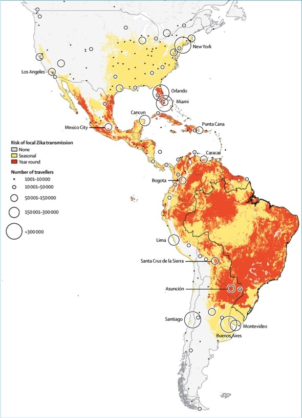 Zika virus spread potential