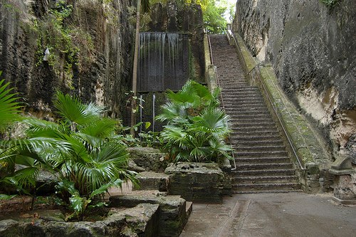 66 steps