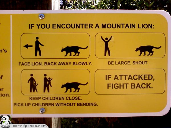 Child Shield