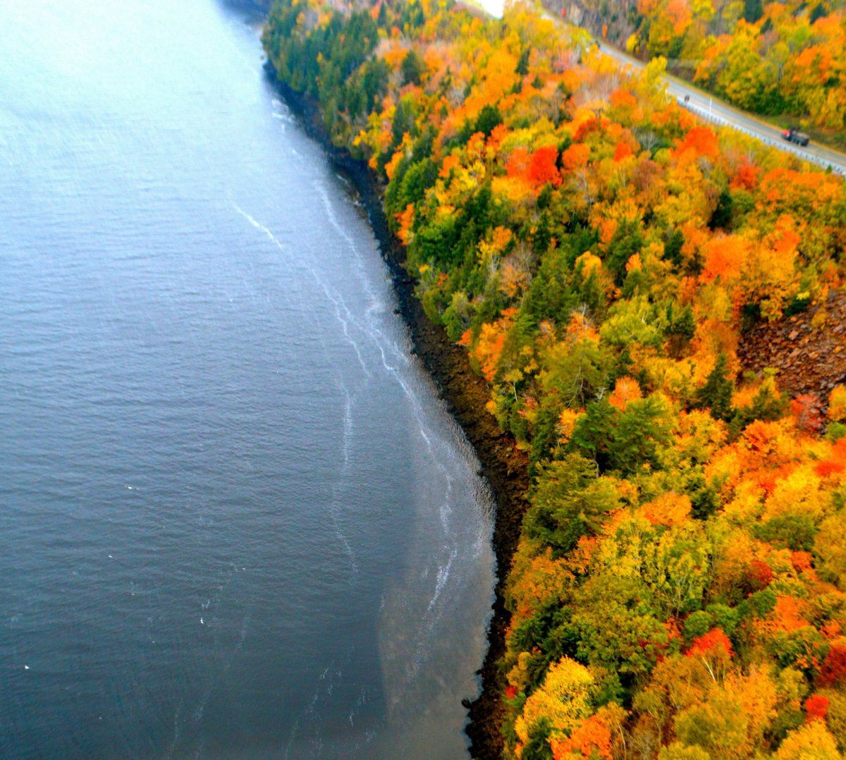 Fall foliage Maine