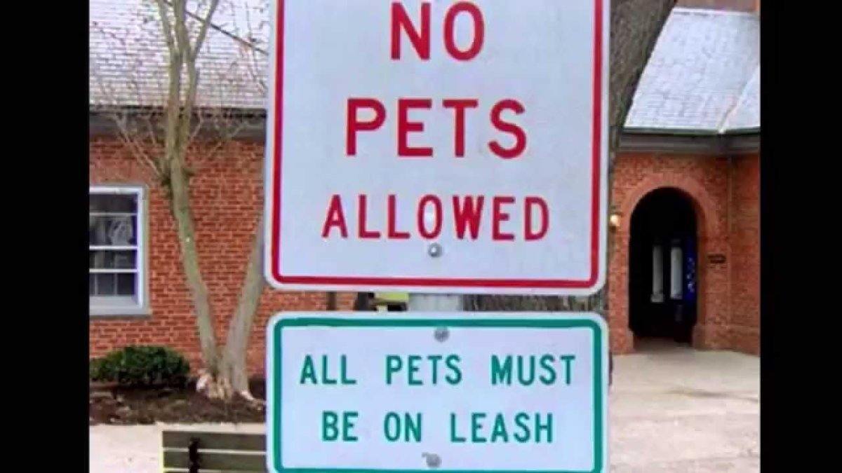 Leash Your Pets