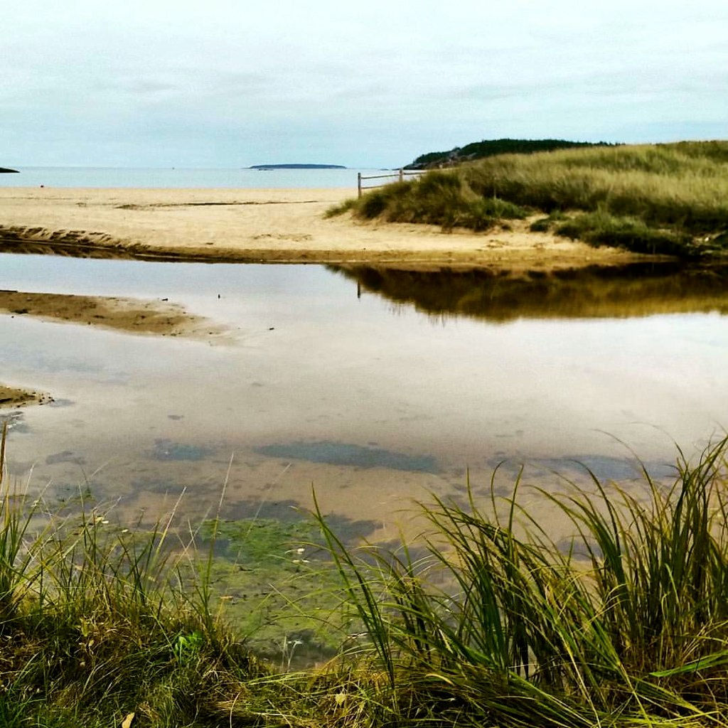 Maine beach