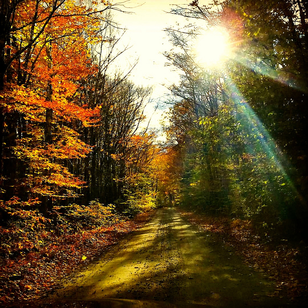 Off the beaten path in Maine