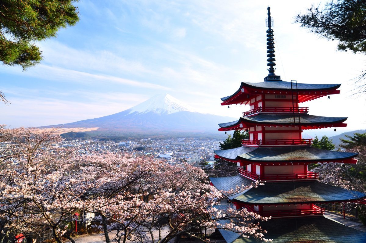 Red Pagoda With Mt. Fuji and Cherry Blossoms