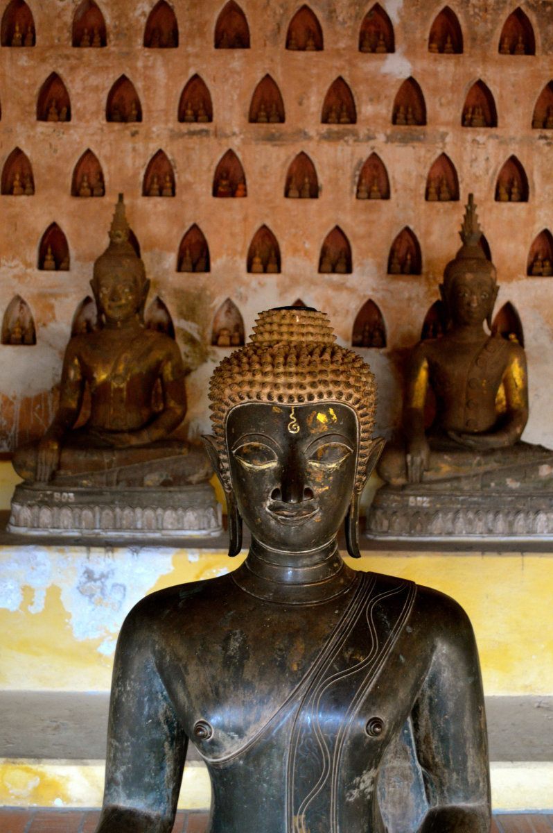 The Ceramic Buddhas