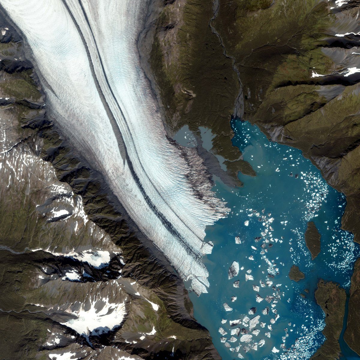Bear Glacier
