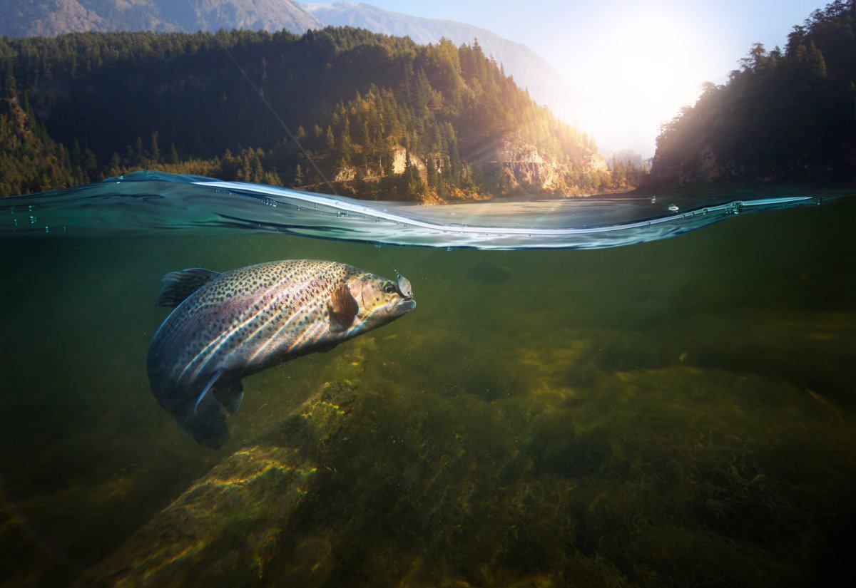 Fishing.