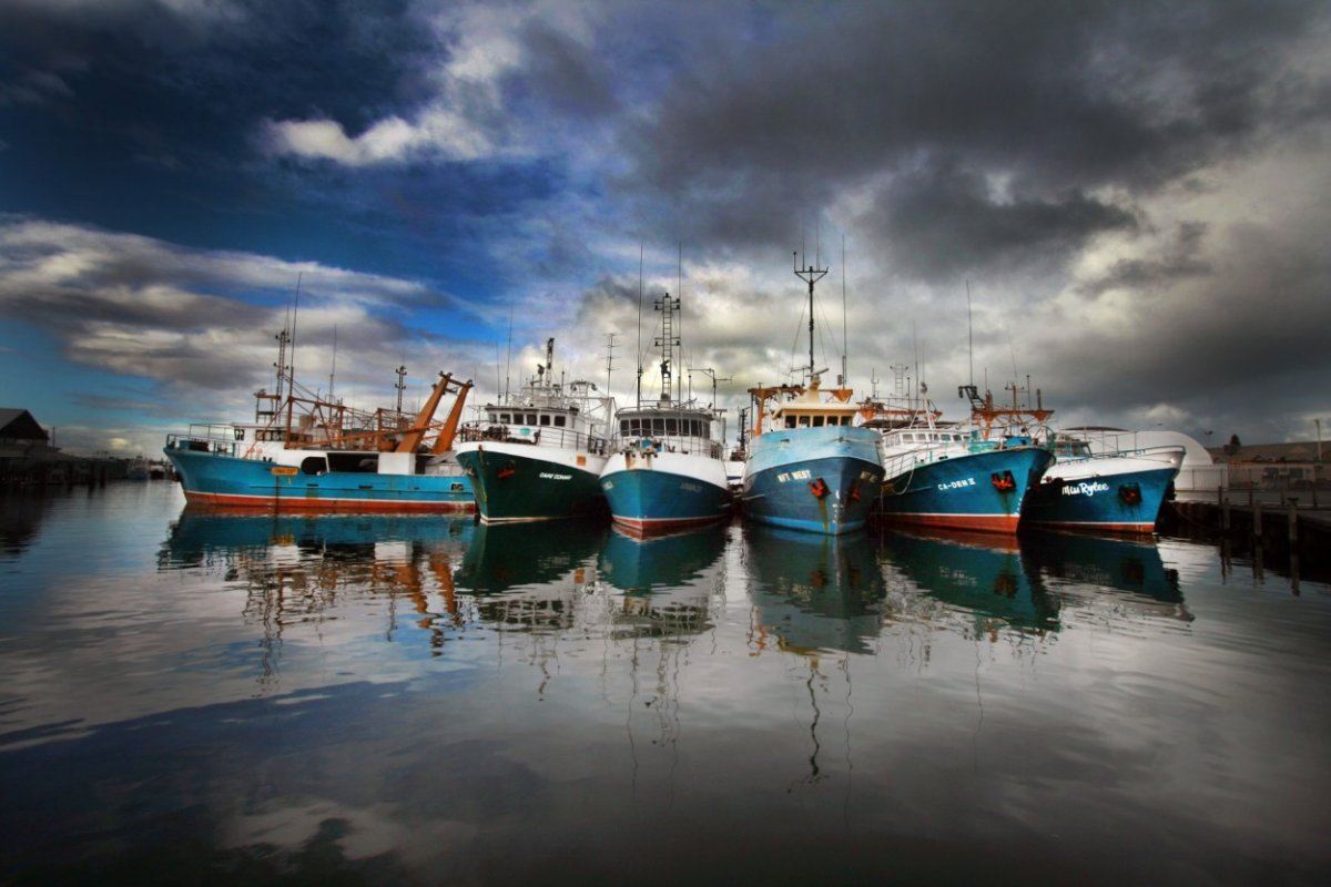 Fishing boats