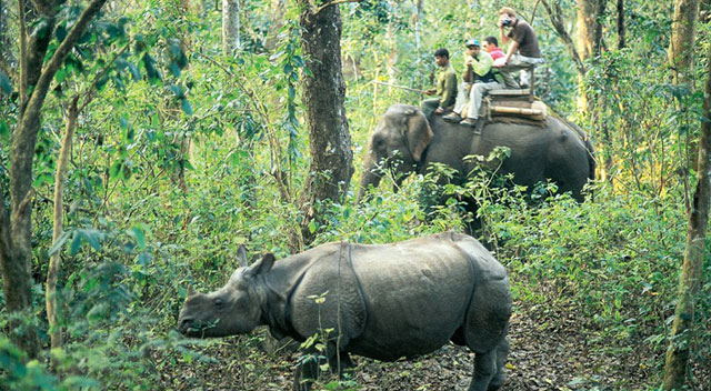 Nepal Royal Chitwan National Park