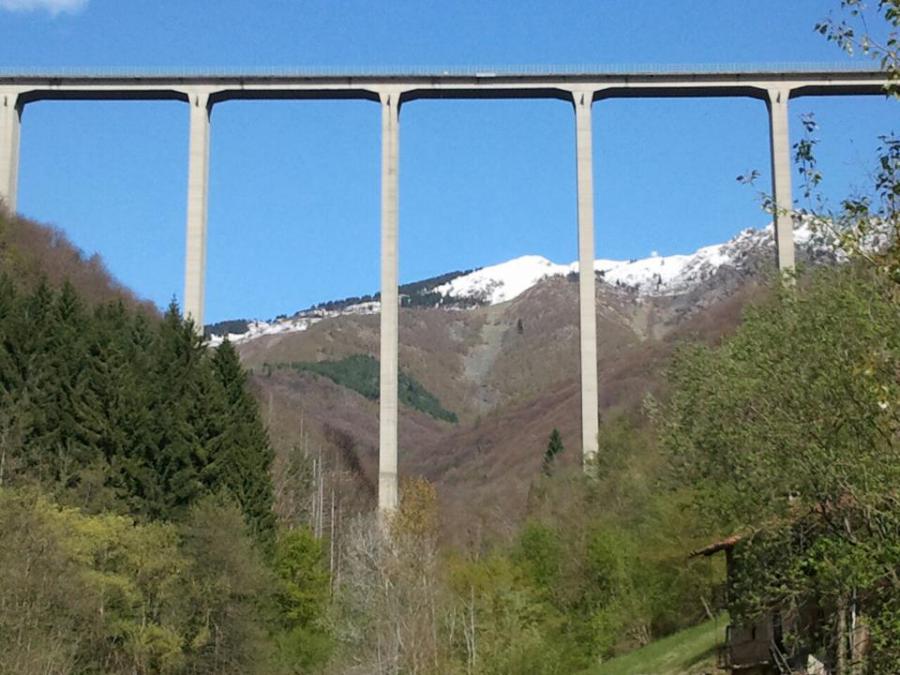 Ponte Colossus