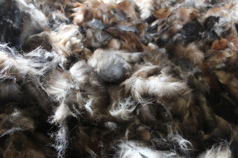 Possum fur