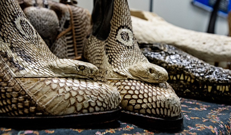 reptile boots