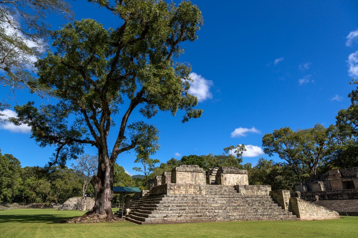 Ruins Of Copan In Honduras