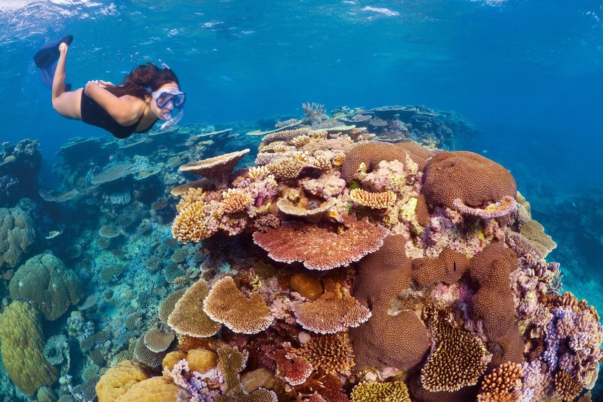 Scuba Diving
