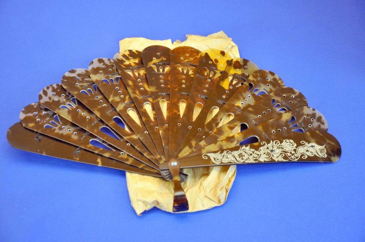 Tortoiseshell fan