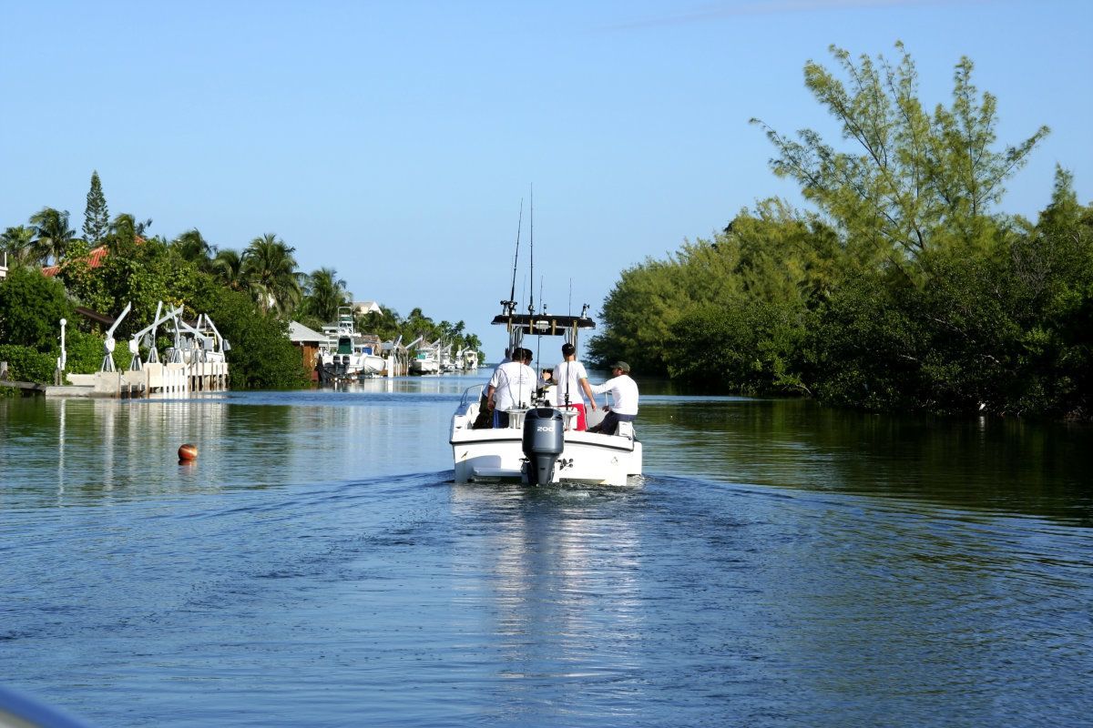 Young People Gone Fishing