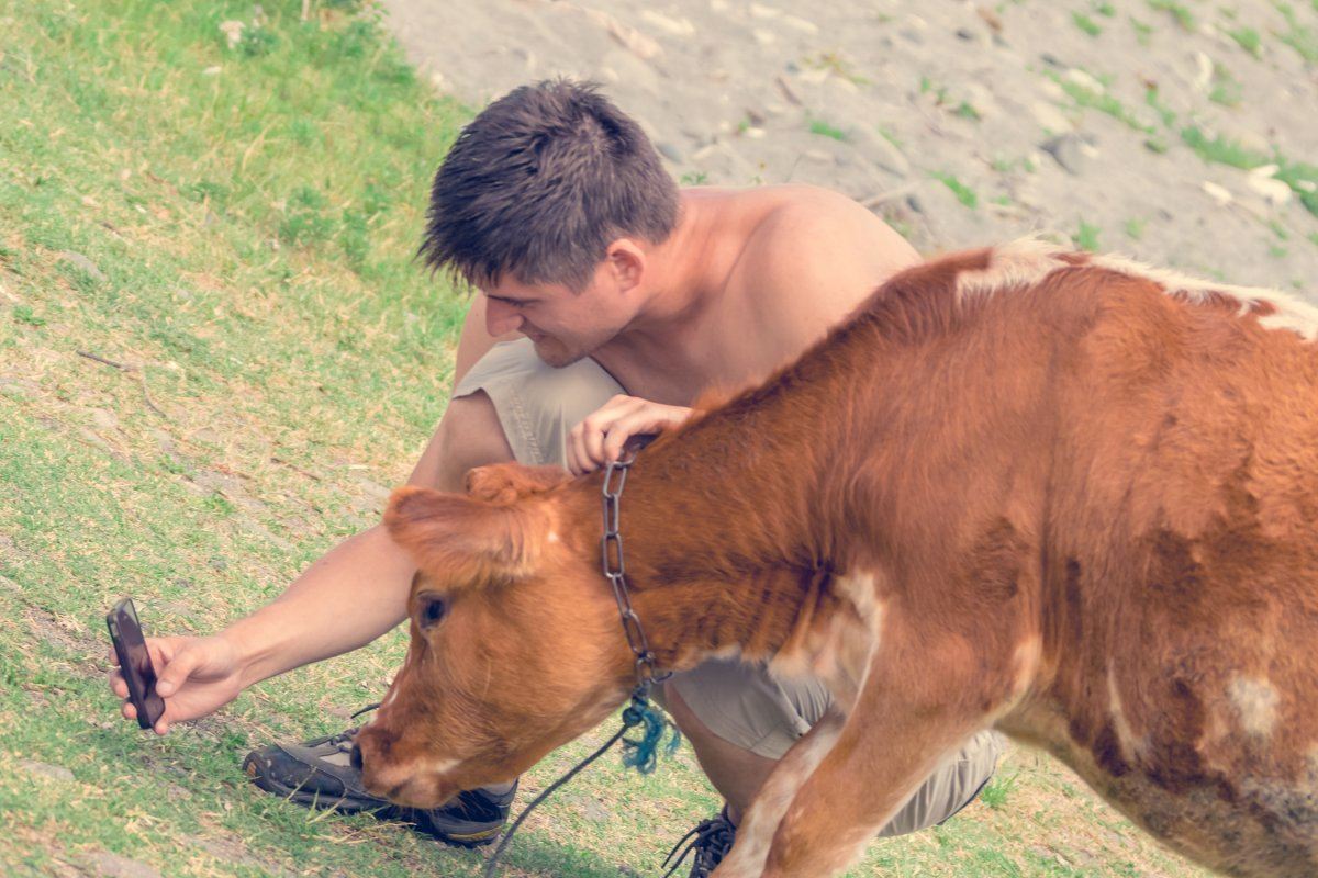 Man with Cow