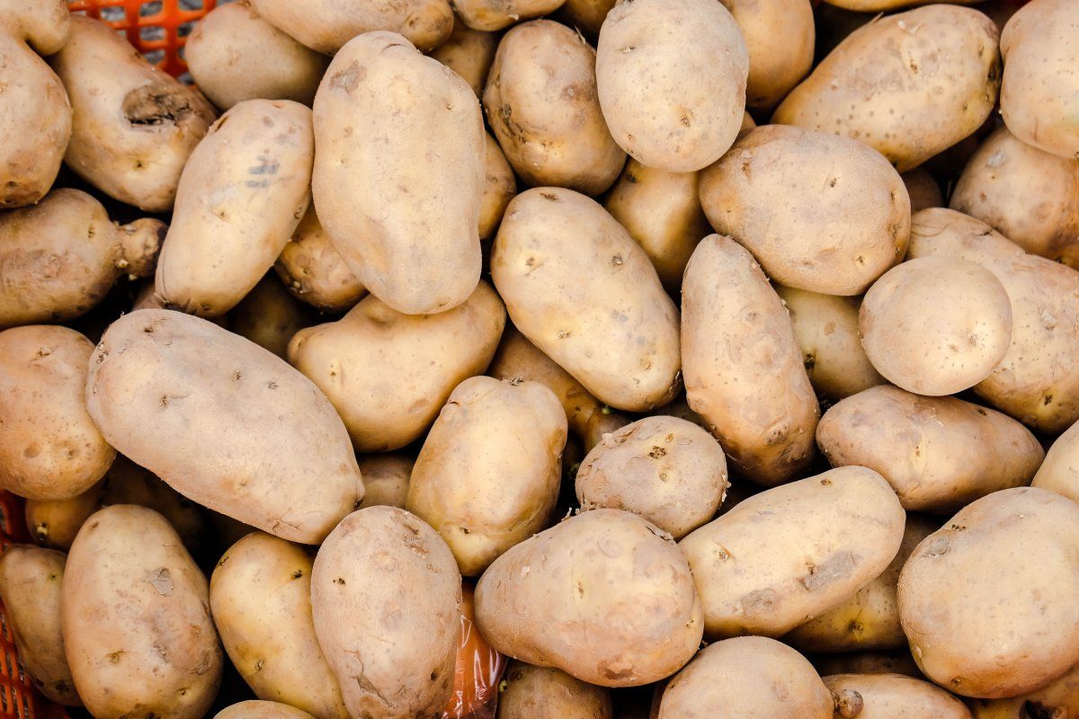 Pile Of Potatoes