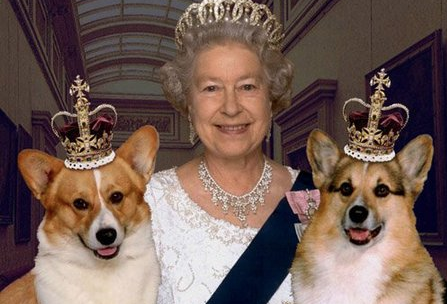 Queen's Corgis