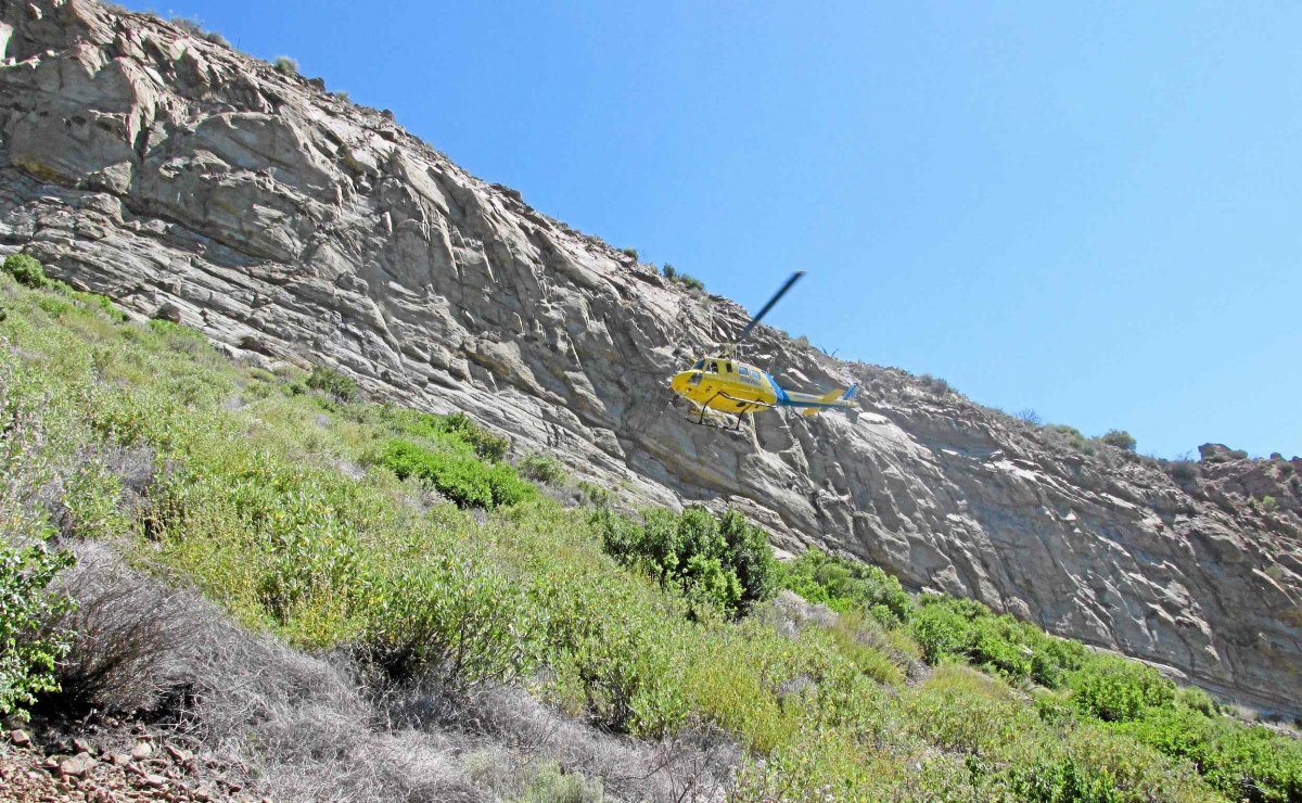 search helicopter