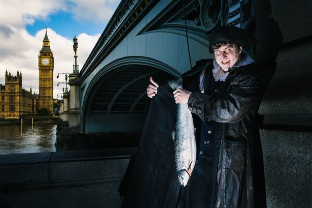 suspicious salmon