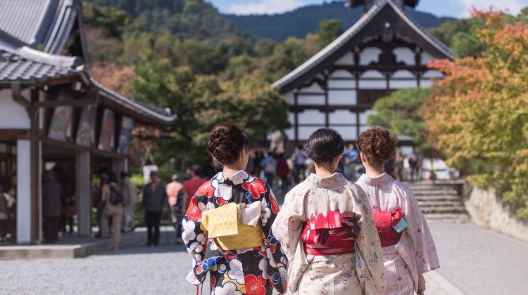 Japanese Women In Kimono Is Walking in Kyoto