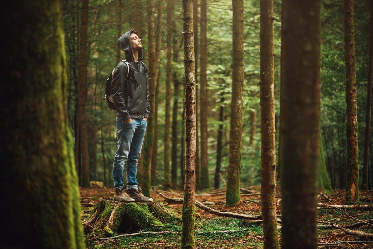 Man Standing In The Forest