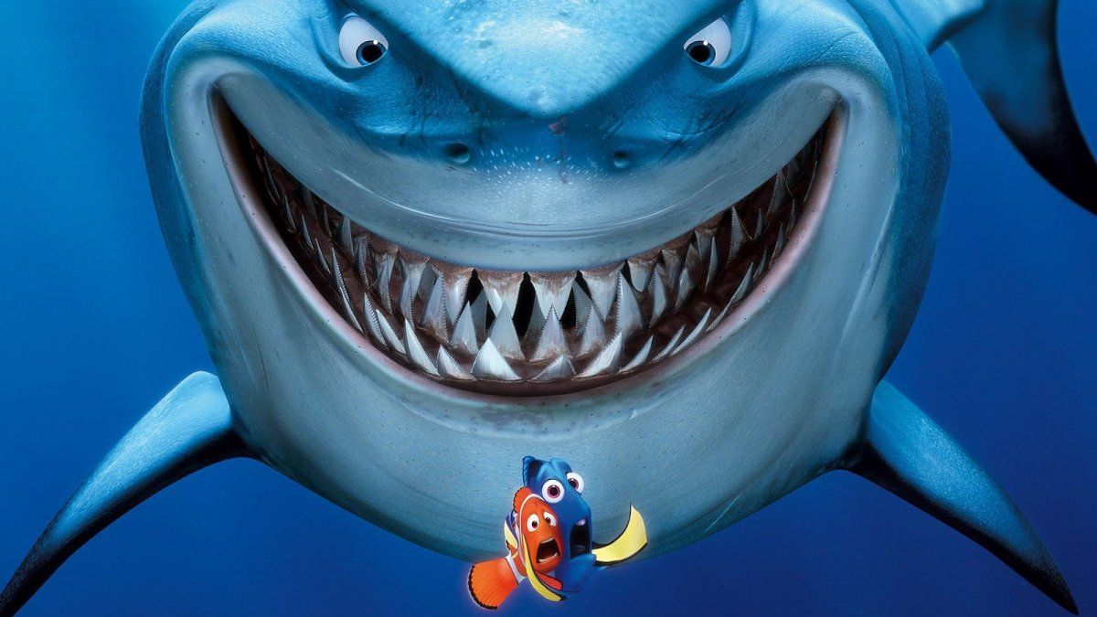 Shark