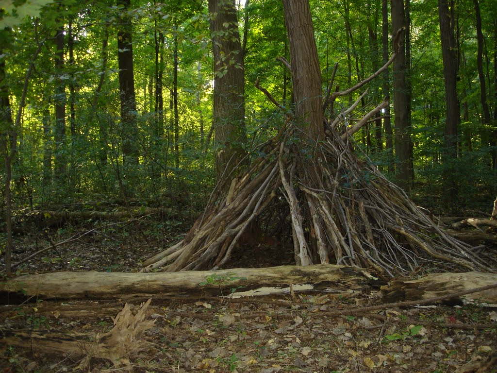 Shelter