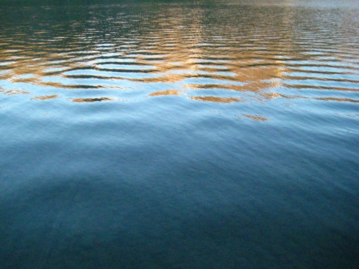Water