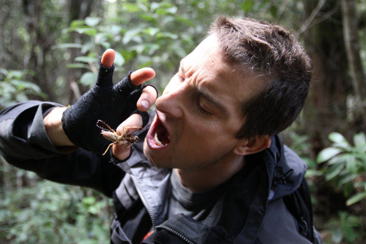 bear grylls