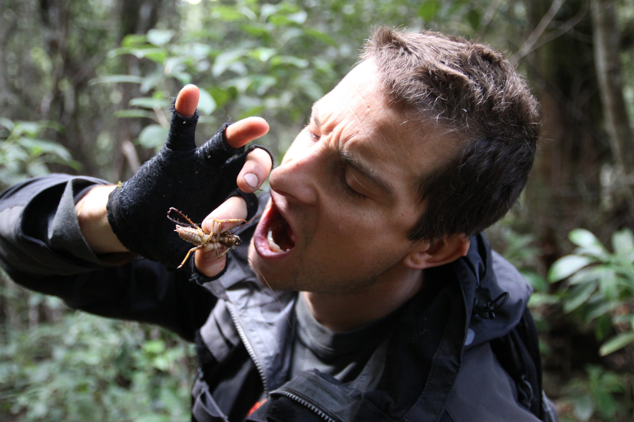 Why Bear Grylls Is the Ultimate Adventurer Page 11 of 11