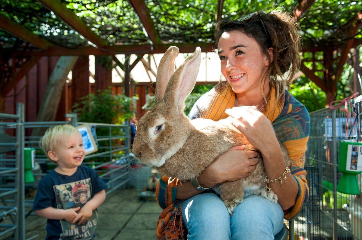 Deen City Farm